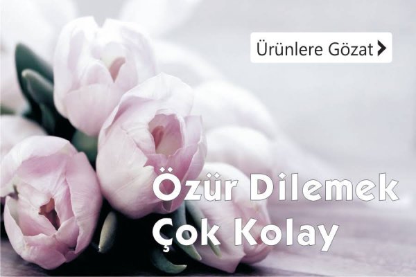 Özür Dileme Çiçekleri Kategorisi