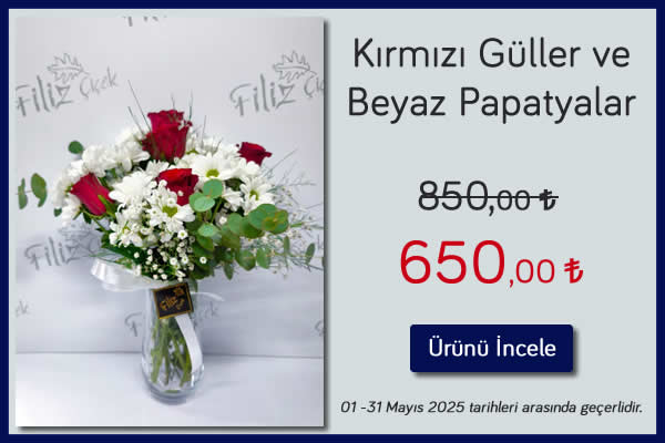 Kırmızı Güller ve Beyaz Papatyalar 01 - 31 Mayıs 2025 tarihleri arası geçerli, Kütahya Filiz Çiçek