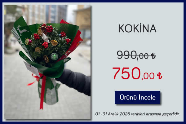 Kokina 01 - 31 Aralık 2025 tarihleri arası geçerli, Kütahya Filiz Çiçek