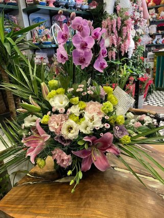 Büyülü Renkler Orkide Aranjmanı