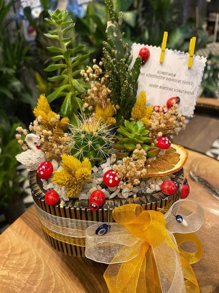 Doğal Enerji Kaktüs & Sukulent Aranjmanı