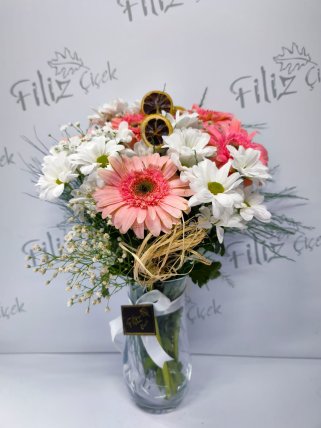 Pembe Gerbera ve Beyaz Papatya Aranjmanı