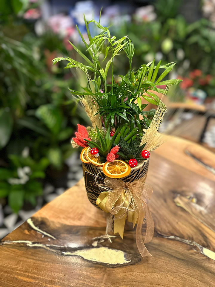 Doğal Dekoratif Şans Bahçesi