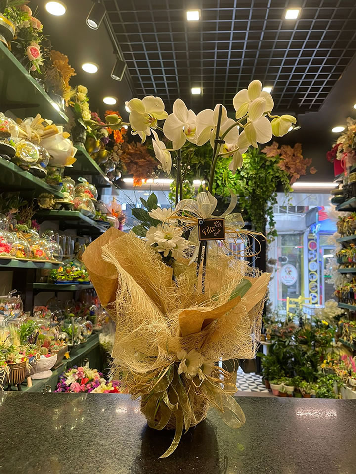 Hasır Detaylı İki Dal Beyaz Orkide