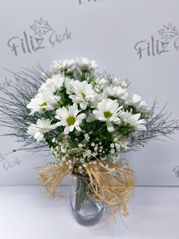 Vazoda Papatya Bahçesi 