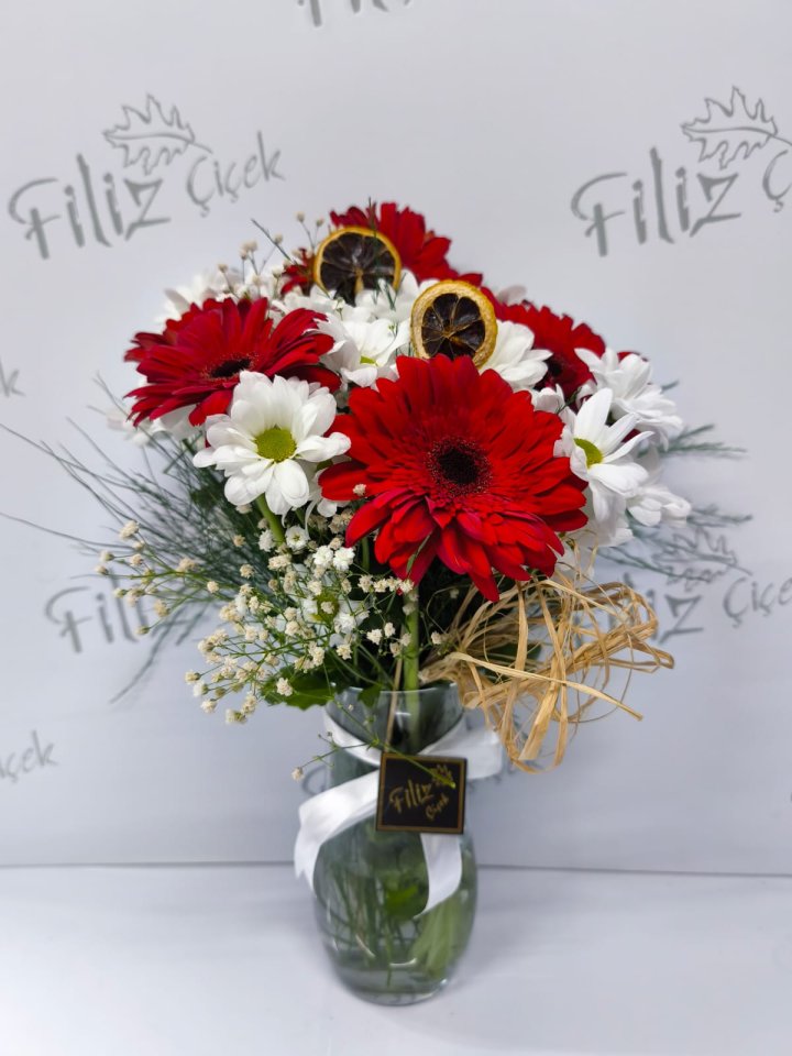 Kırmızı Gerbera ve Beyaz Papatya Aranjmanı