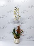 Çiçekçi - Beyaz Seramikte Tek Dal Beyaz Orkide