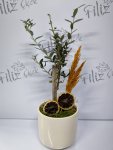 Çiçekçi - Beyaz Seramikte Zeytin Ağacı
